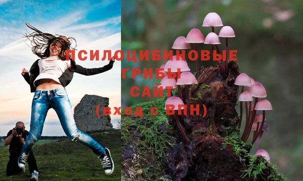хмурый Приозерск