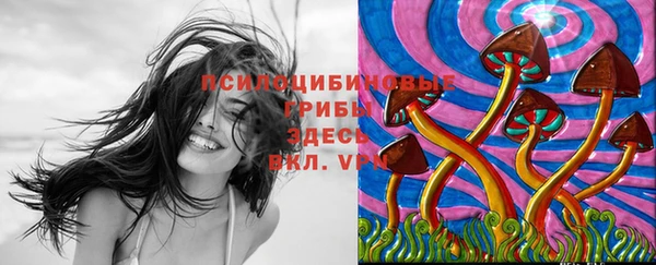 спайс Пролетарск