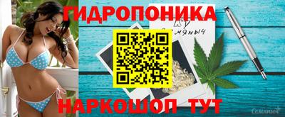 наркотики Пугачёв