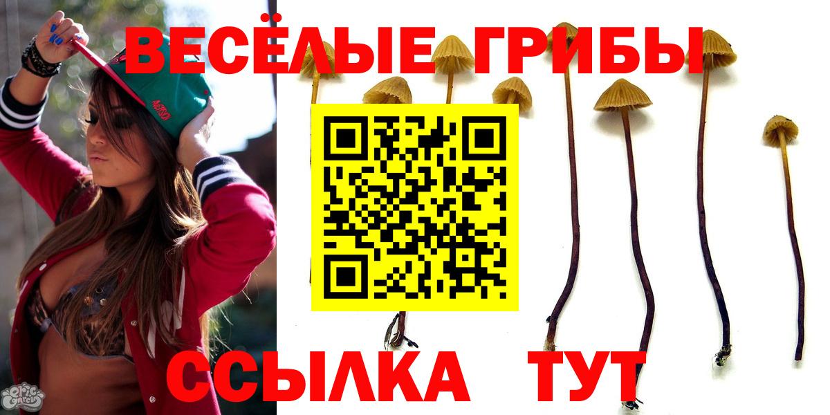 Россошь  Псилоцибиновые грибы ЛСД  Вход с VPN 